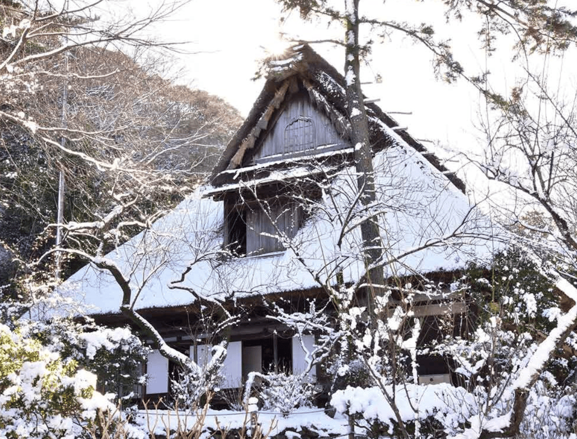 【神奈川冬季景點】9. 三溪園